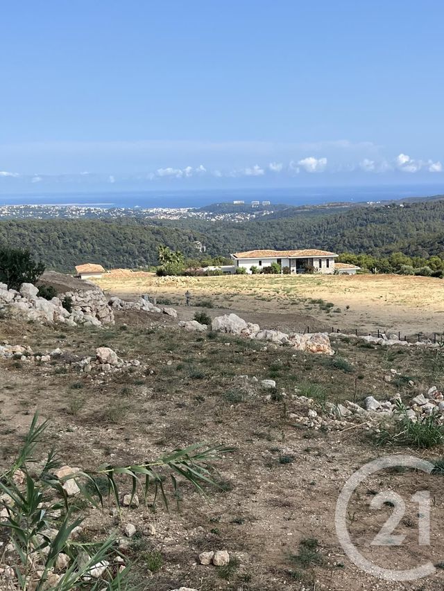 Terrain à vendre - 2500 m2 - Roquefort Les Pins - 06 - PROVENCE-ALPES-COTE-D-AZUR